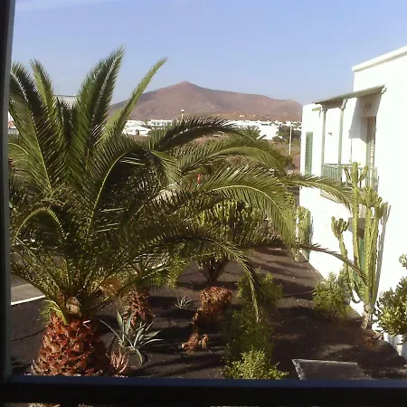 Les Alizesdusahara Drago Аргана